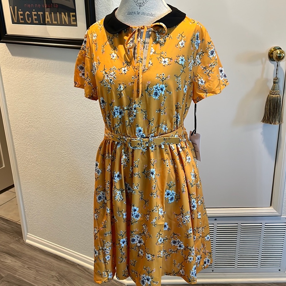 Unique Vintage A-line yellow and black floral dress